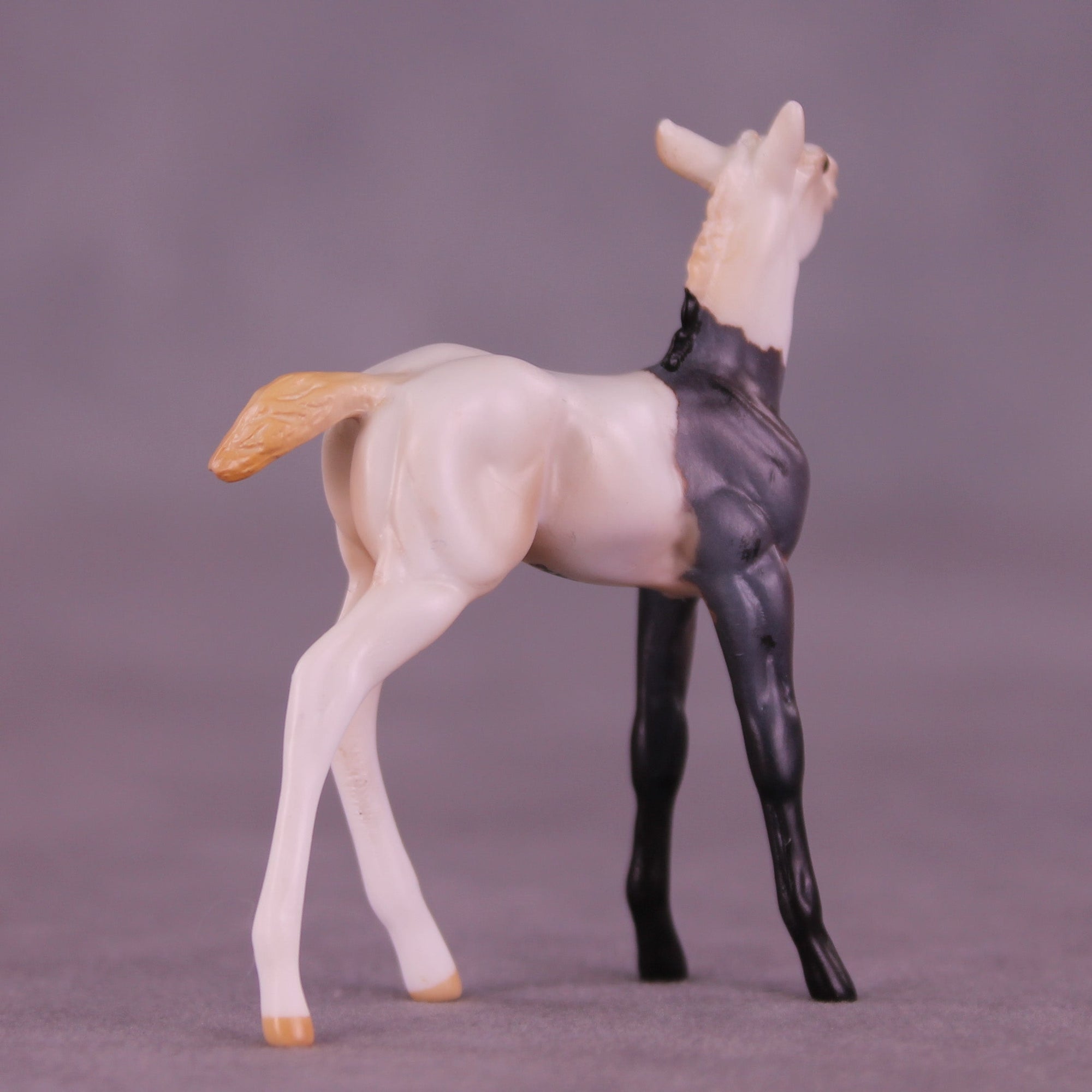 Luigi OOAK Chip Foal by Anna Rieck HS25