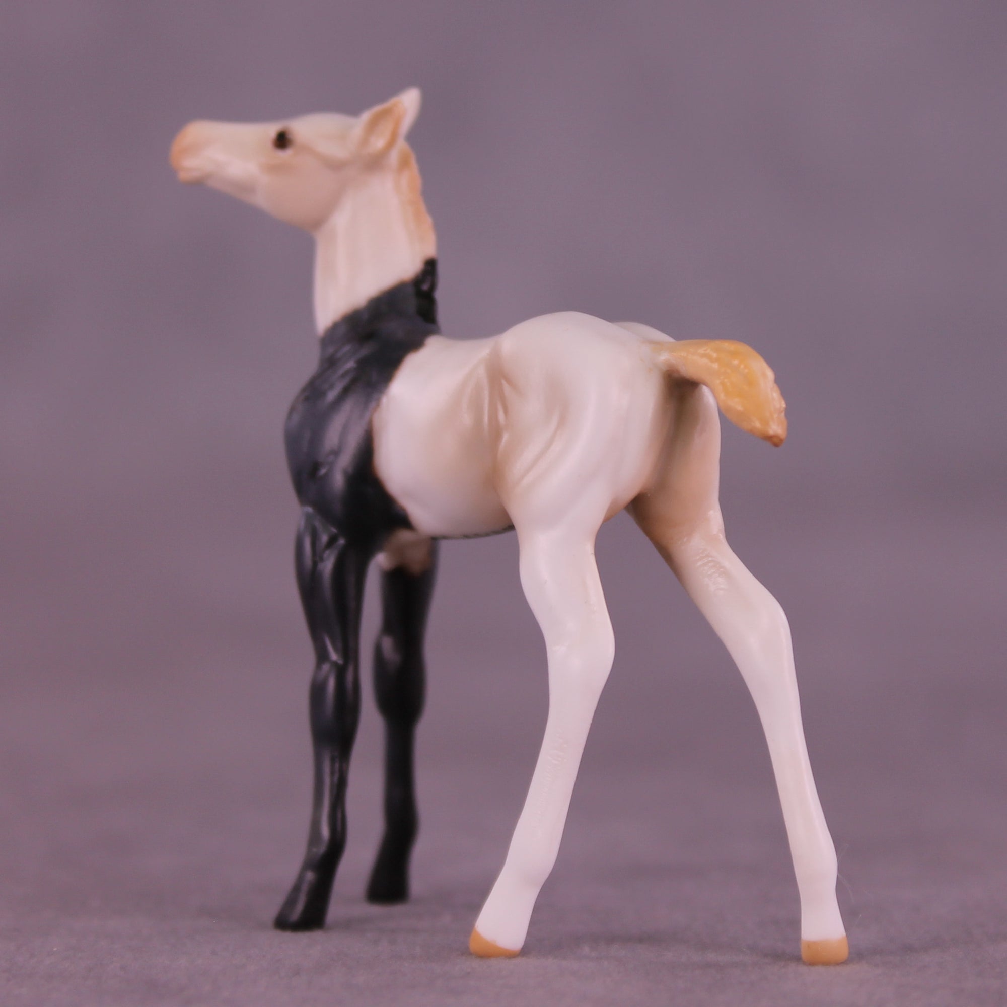 Luigi OOAK Chip Foal by Anna Rieck HS25