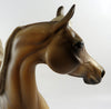 Arabian