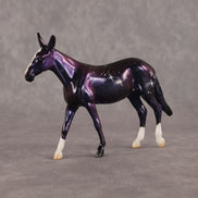 Lyrae OOAK Chip Mule by Jess Hamill SCD26