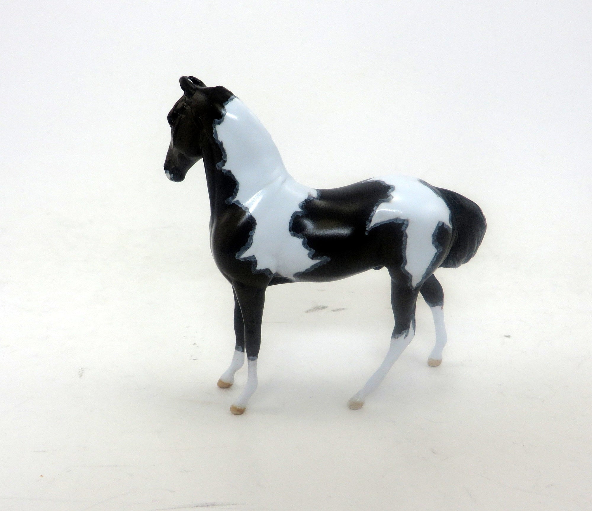 RAJA - Marawari Seal Bay Pinto W/ Mapping - LE7 - The Little Horse Show - 9/23