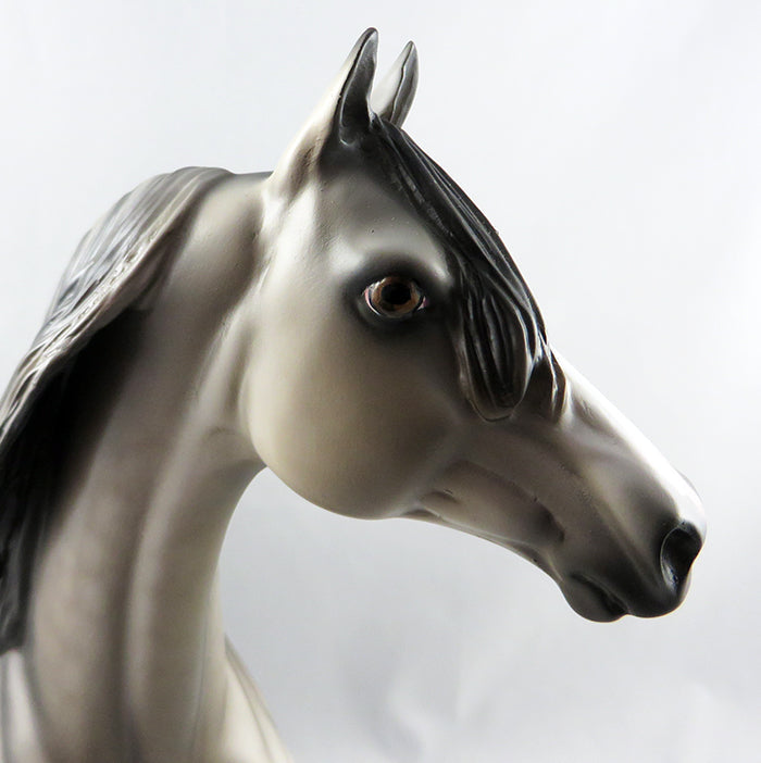 ANSONIA-OOAK DAPPLE GREY MORGAN BY SHERYL LEISURE