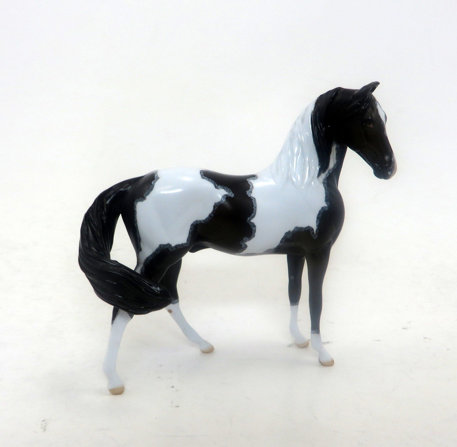 RAJA - Marawari Seal Bay Pinto W/ Mapping - LE7 - The Little Horse Show - 9/23