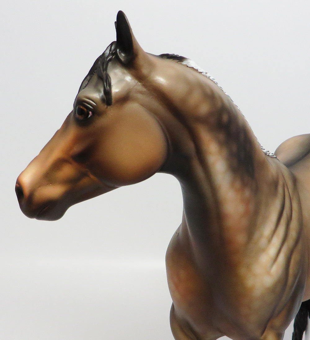 MACKINAW-OOAK FROSTED DUN BUCKSKIN ISH MODEL HORSE BY DAWN QUICK EQ 2017