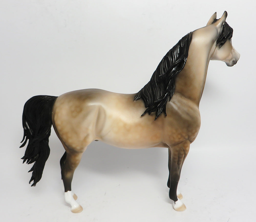 MAGNUS-OOAK DAPPLED SOOTY BUCKSKIN MORGAN MODEL HORSE BY DAWN QUICK COUNTRY FAIR 2017