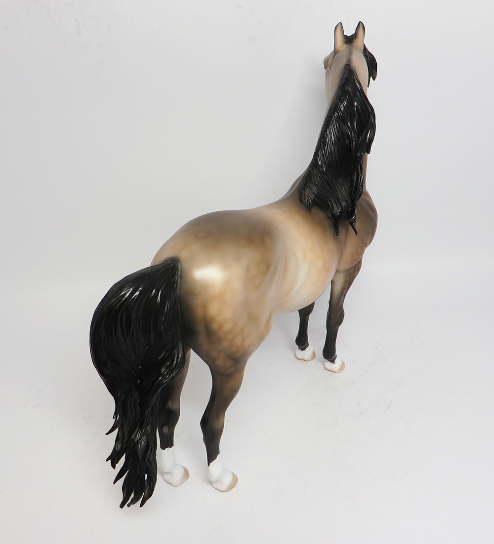 MAGNUS-OOAK DAPPLED SOOTY BUCKSKIN MORGAN MODEL HORSE BY DAWN QUICK COUNTRY FAIR 2017