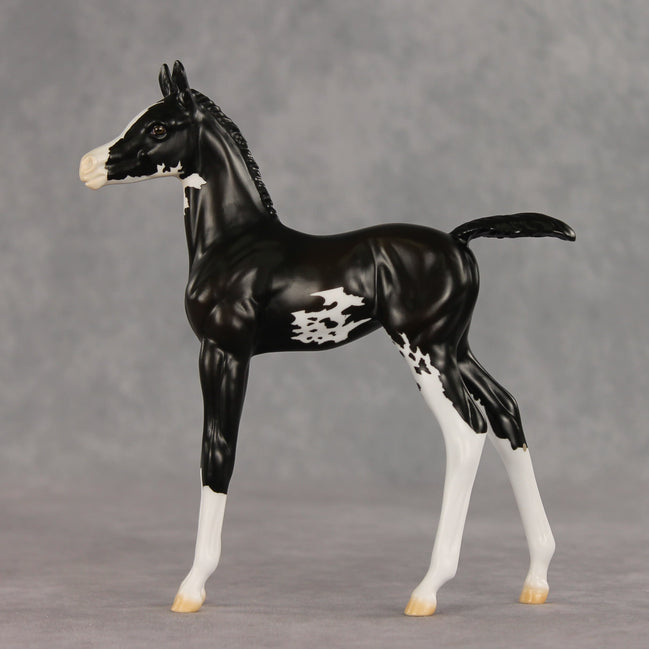 Mallison OOAK FCM Arabian Foal by Erin Corbett VV26