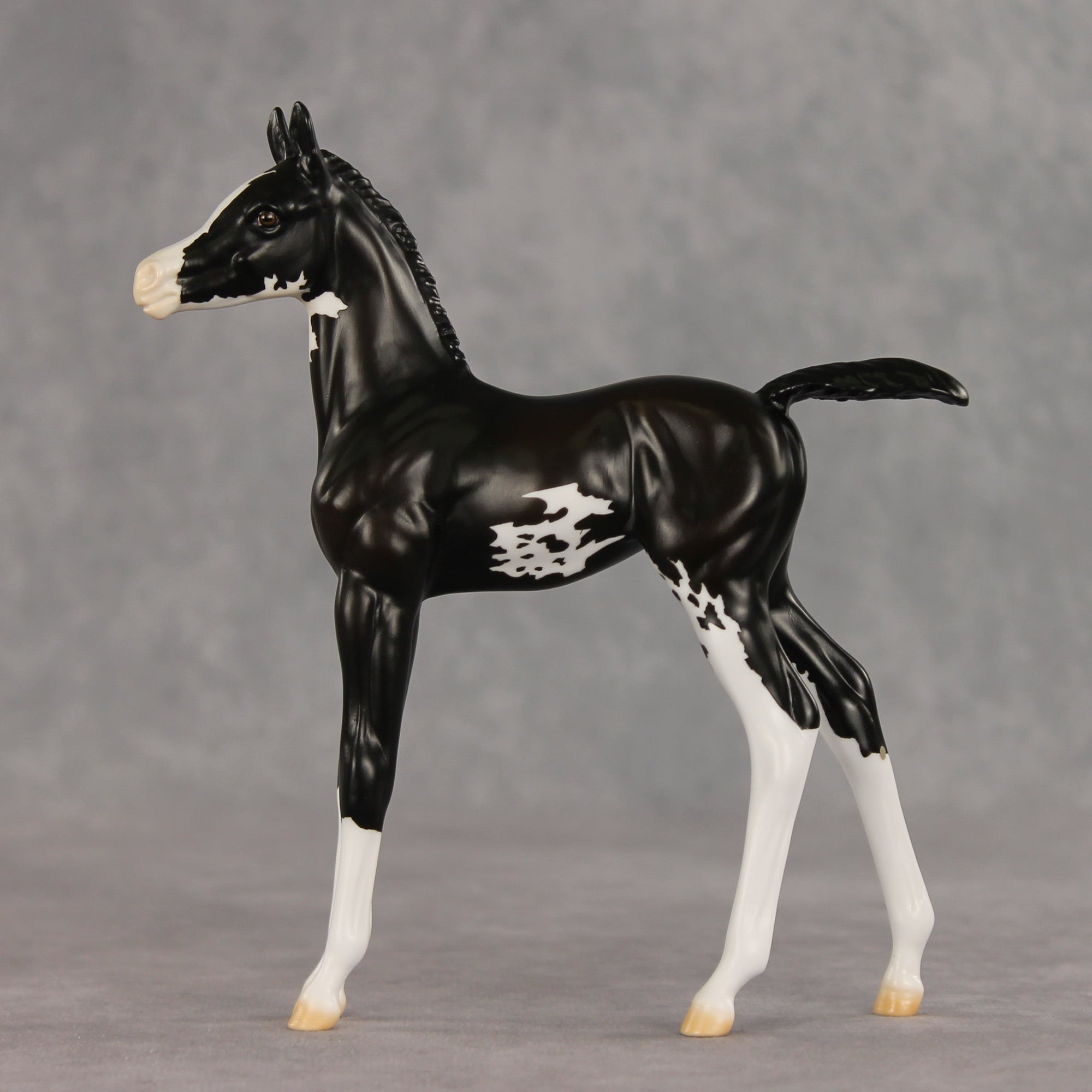 Mallison OOAK FCM Arabian Foal by Erin Corbett VV26