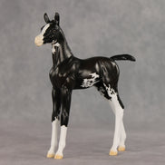 Mallison OOAK FCM Arabian Foal by Erin Corbett VV26