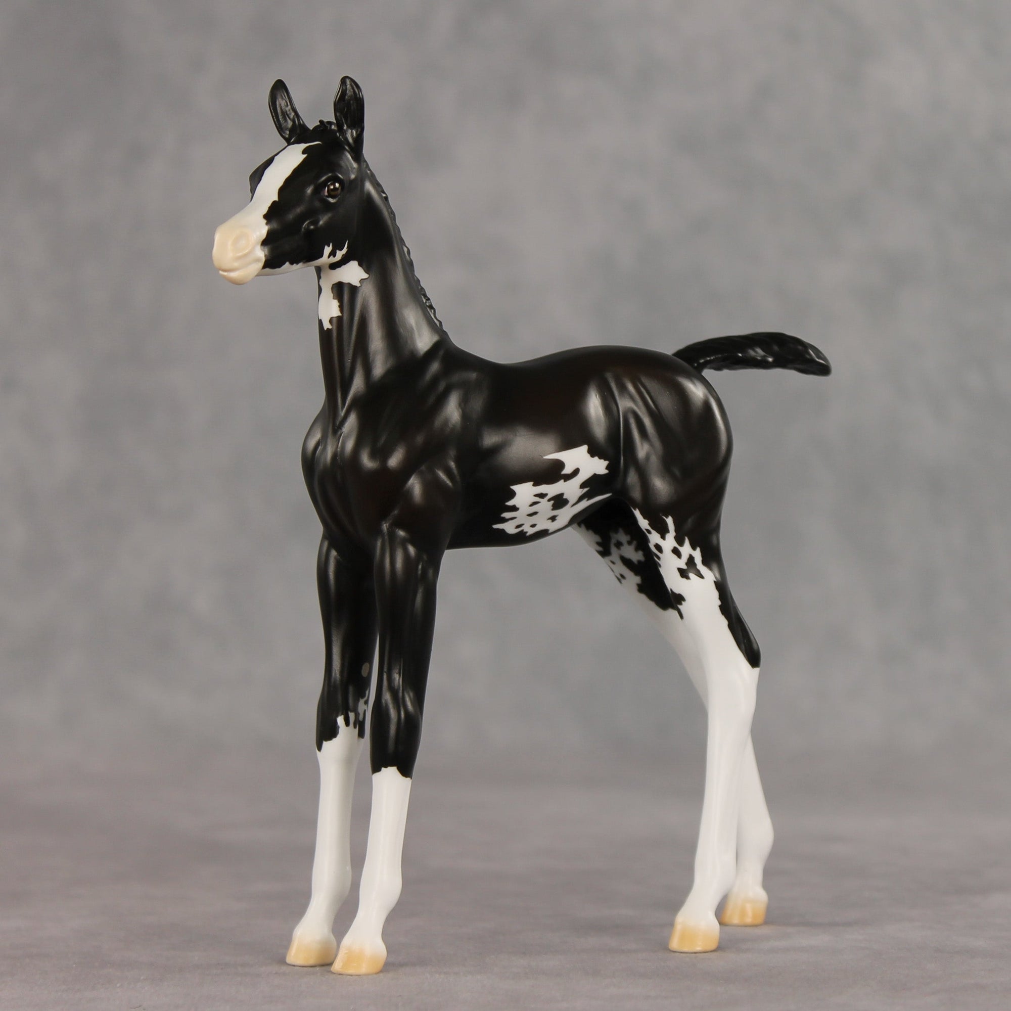 Mallison OOAK FCM Arabian Foal by Erin Corbett VV26