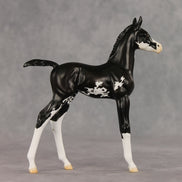 Mallison OOAK FCM Arabian Foal by Erin Corbett VV26