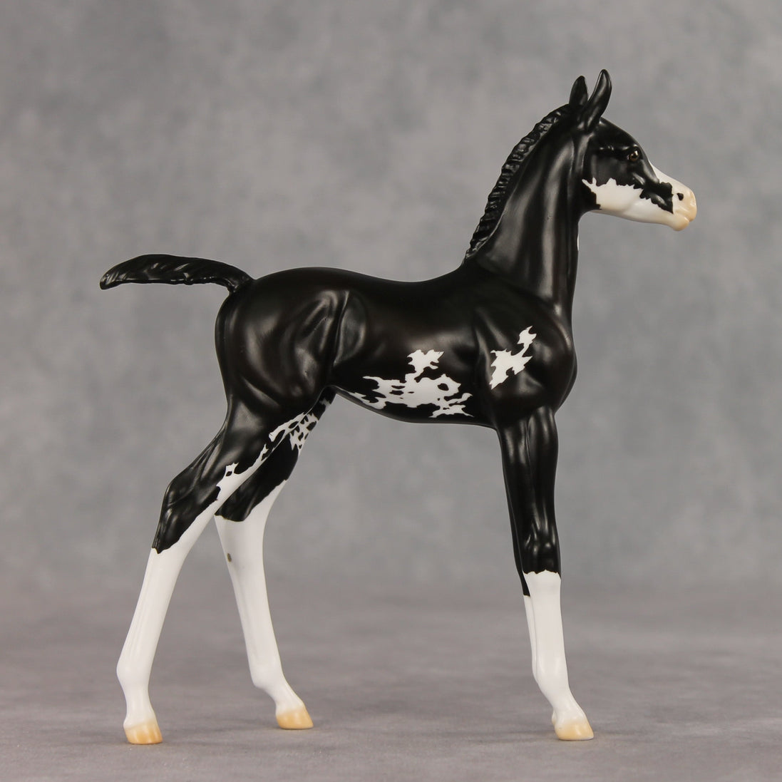 Mallison OOAK FCM Arabian Foal by Erin Corbett VV26