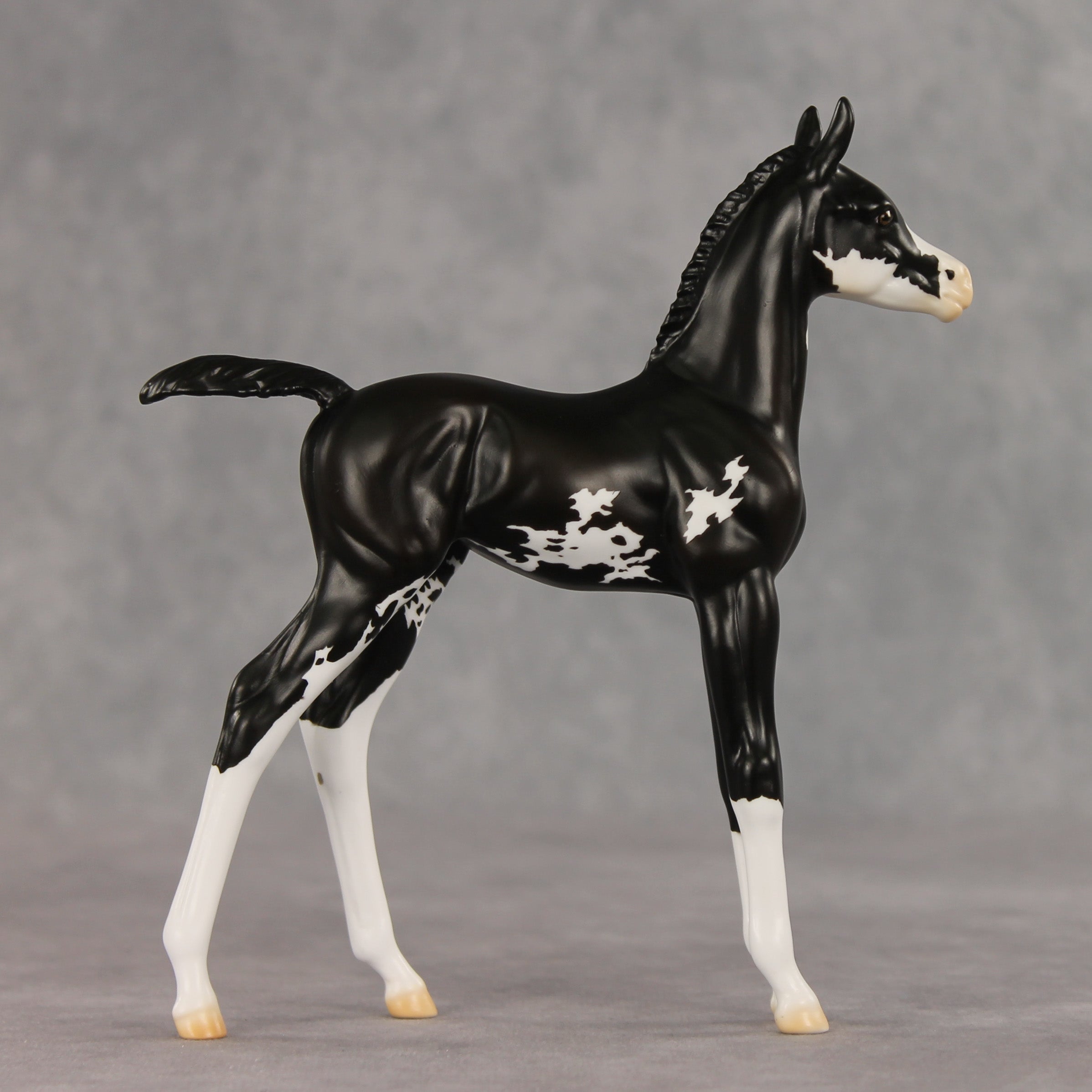 Mallison OOAK FCM Arabian Foal by Erin Corbett VV26