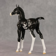 Mallison OOAK FCM Arabian Foal by Erin Corbett VV26