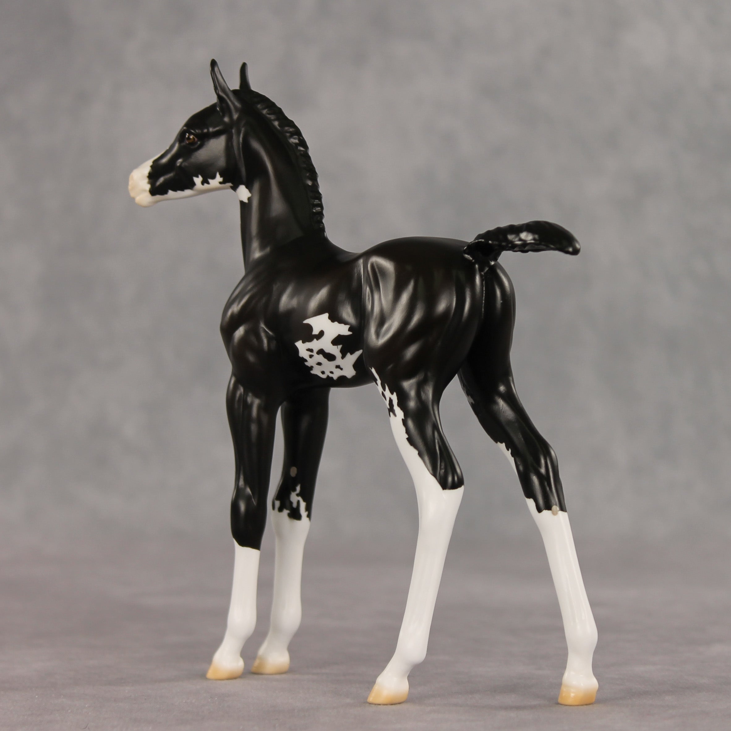 Mallison OOAK FCM Arabian Foal by Erin Corbett VV26