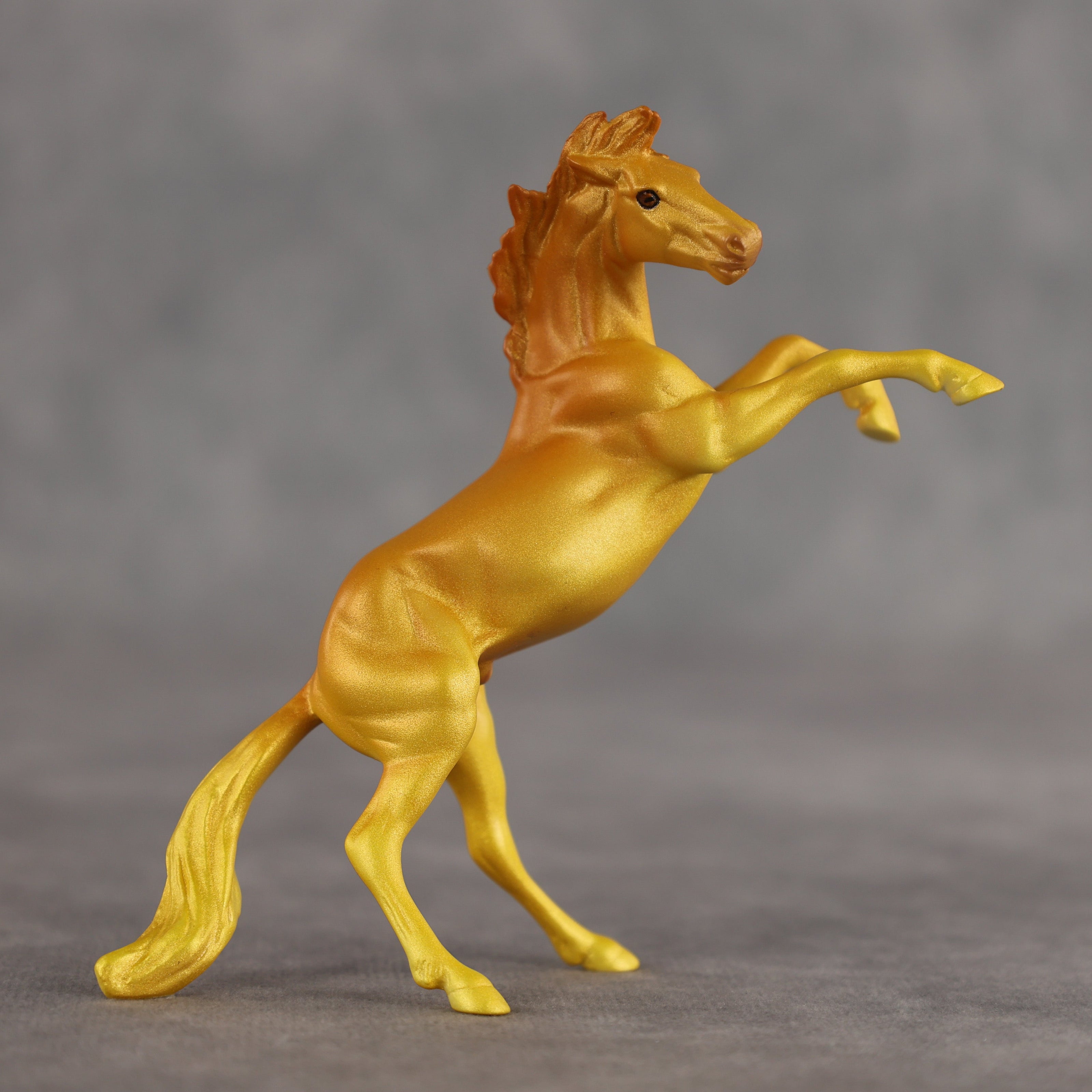 Mango OOAK Chip Mustang by Alex Fortman SCD26