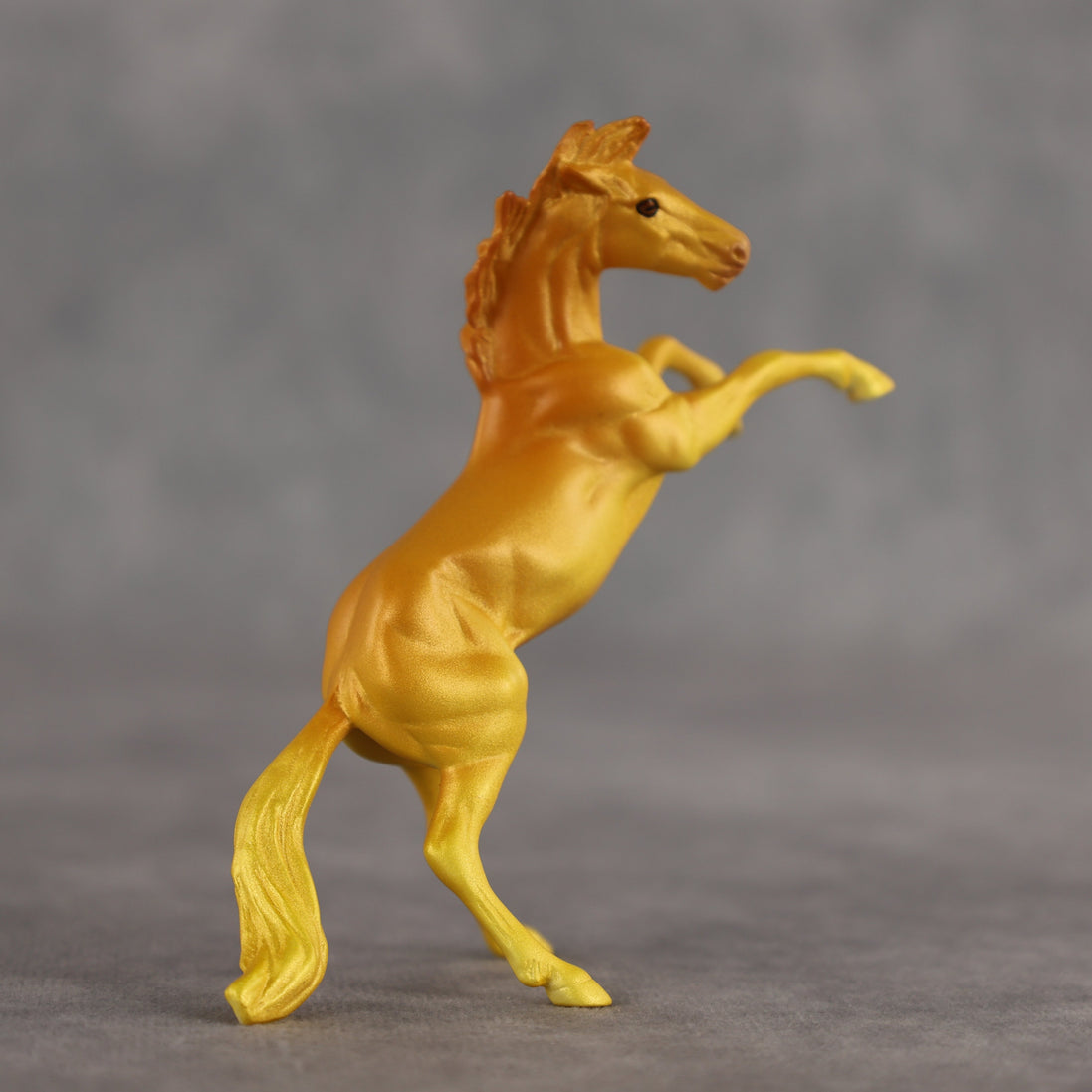 Mango OOAK Chip Mustang by Alex Fortman SCD26