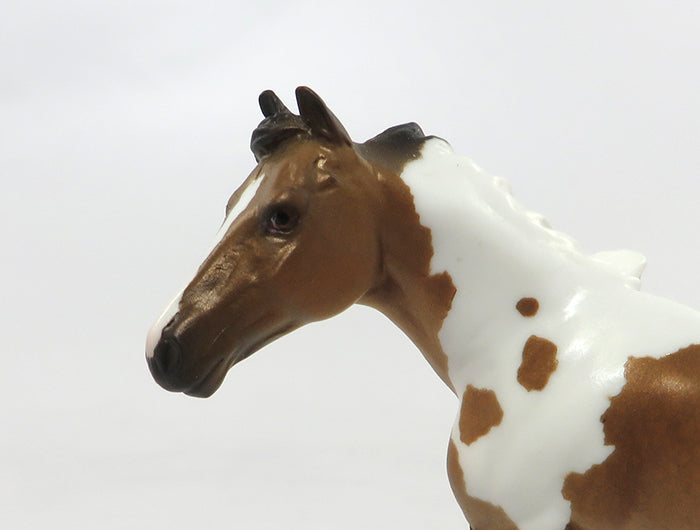 MARCIE &amp; PIG PEN-LE-6 DARLING PAINT CUTTER WITH BLACK STEER  8/26