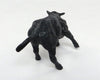 Steer
