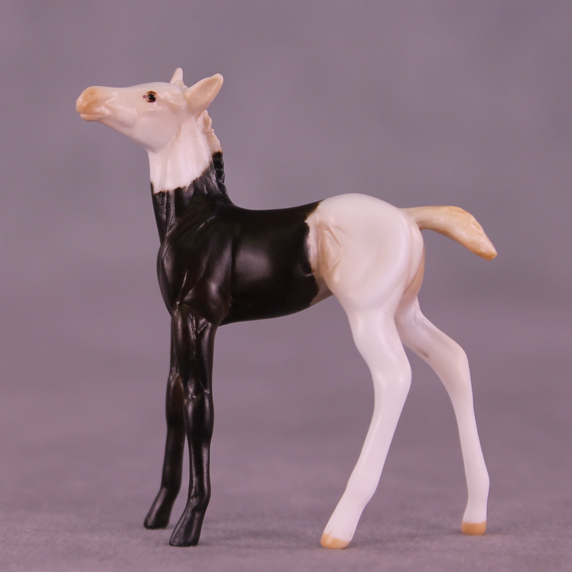 Mario OOAK Chip Foal by Anna Rieck HS25