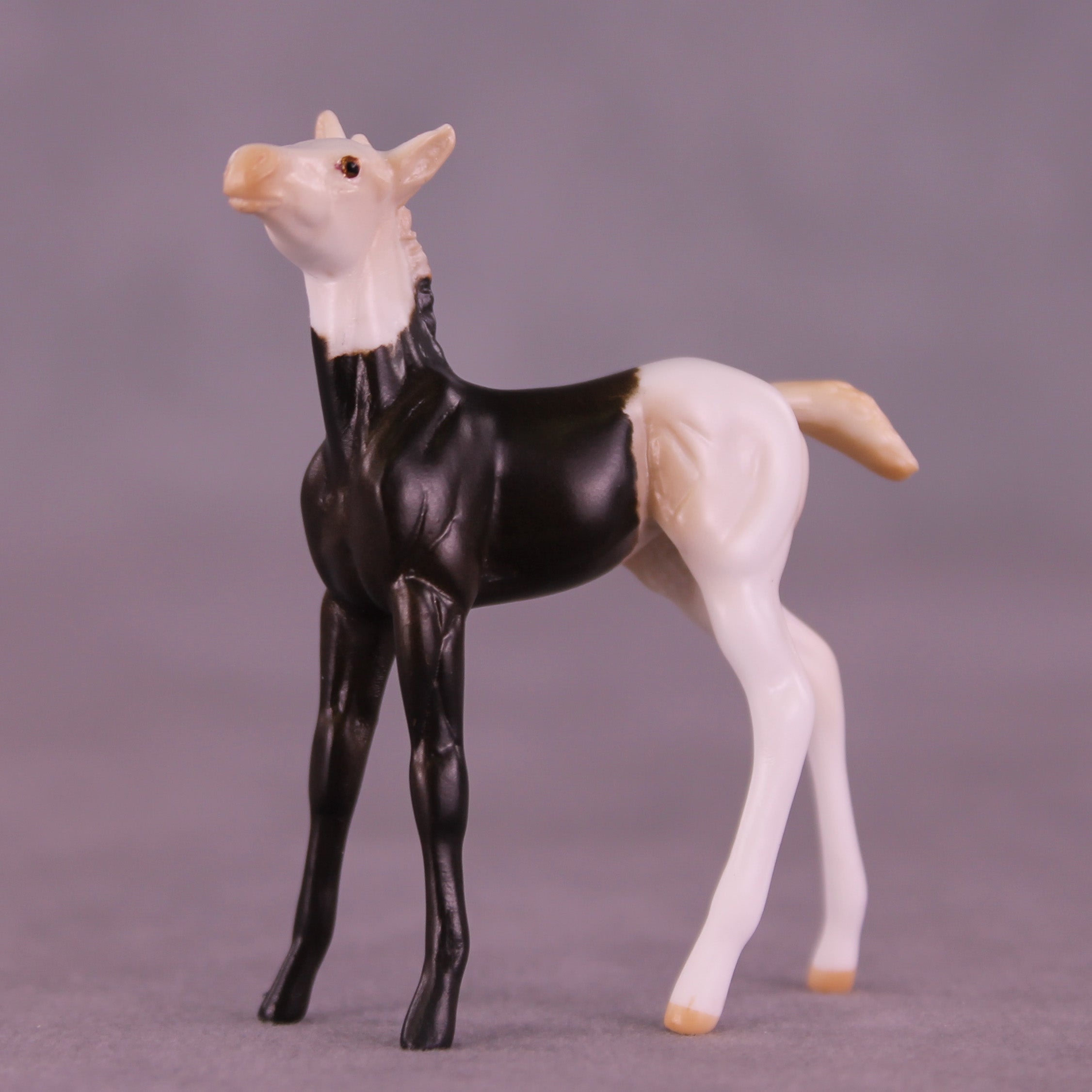 Mario OOAK Chip Foal by Anna Rieck HS25