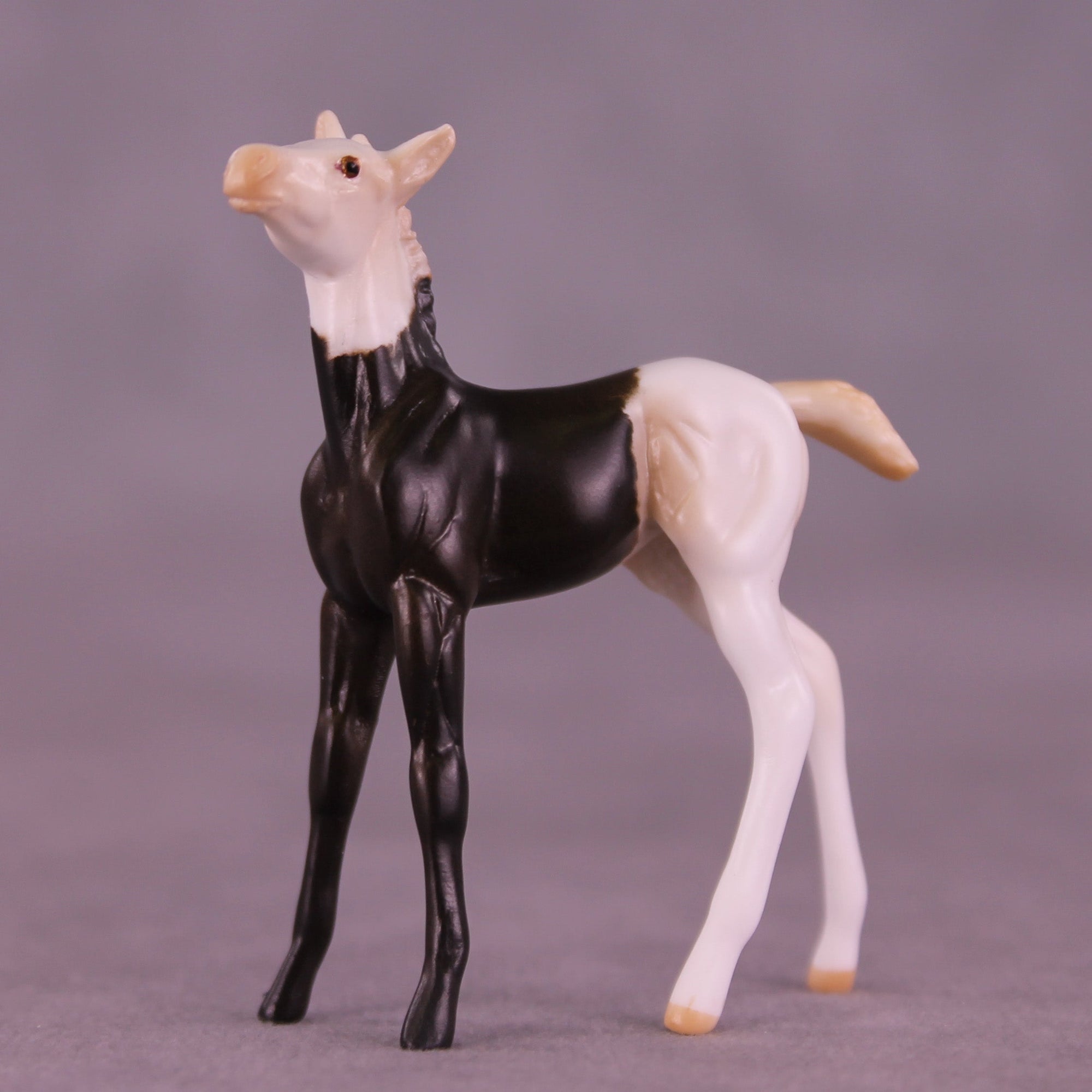 Mario OOAK Chip Foal by Anna Rieck HS25