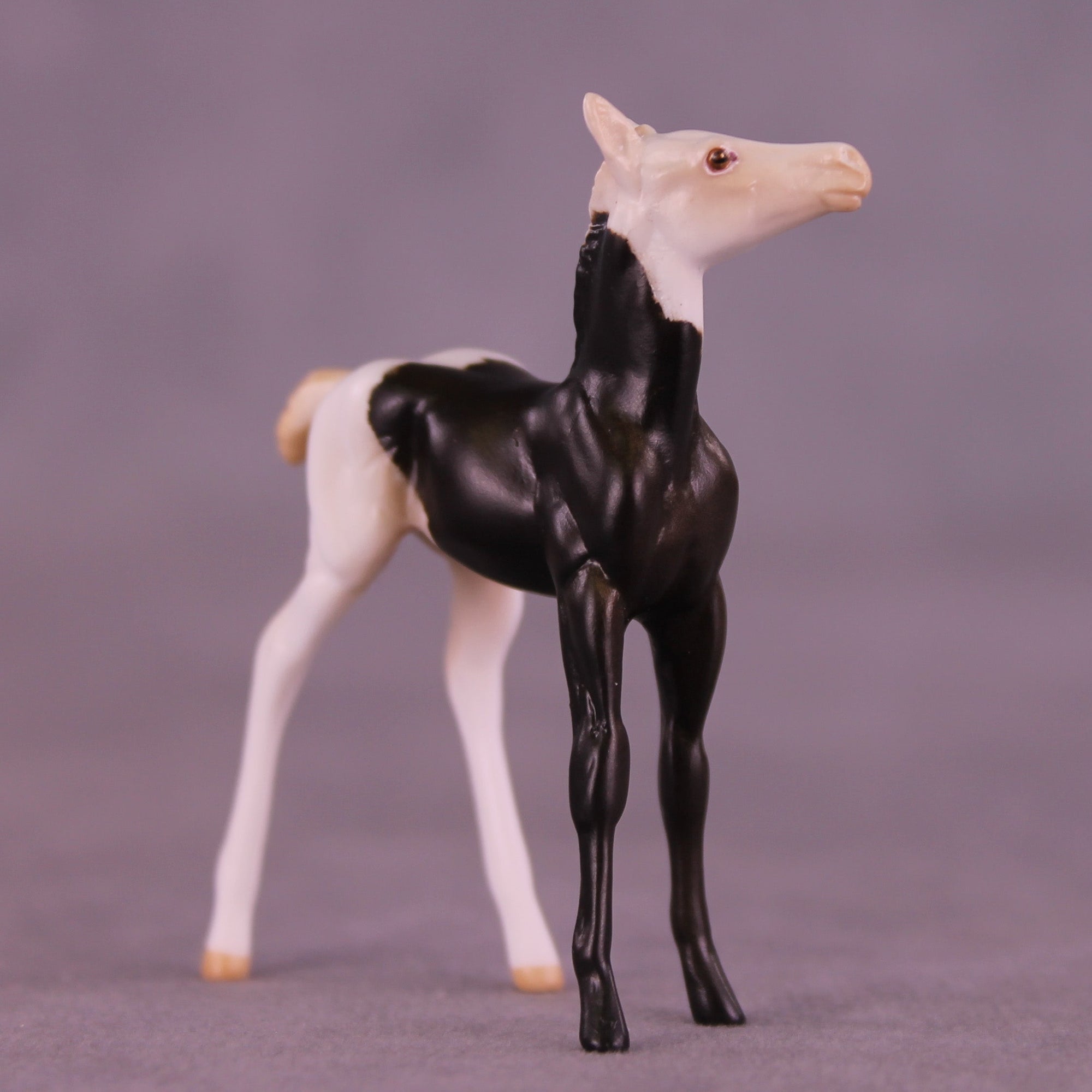 Mario OOAK Chip Foal by Anna Rieck HS25