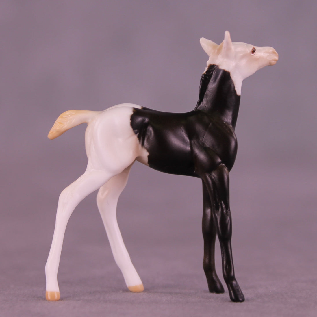 Mario OOAK Chip Foal by Anna Rieck HS25
