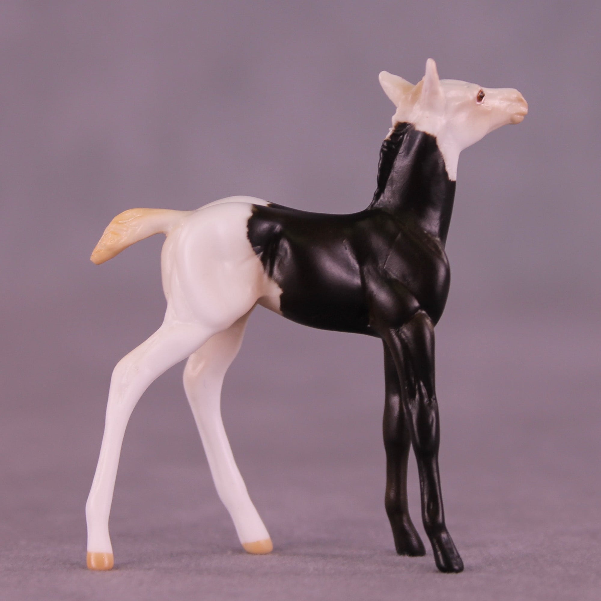 Mario OOAK Chip Foal by Anna Rieck HS25