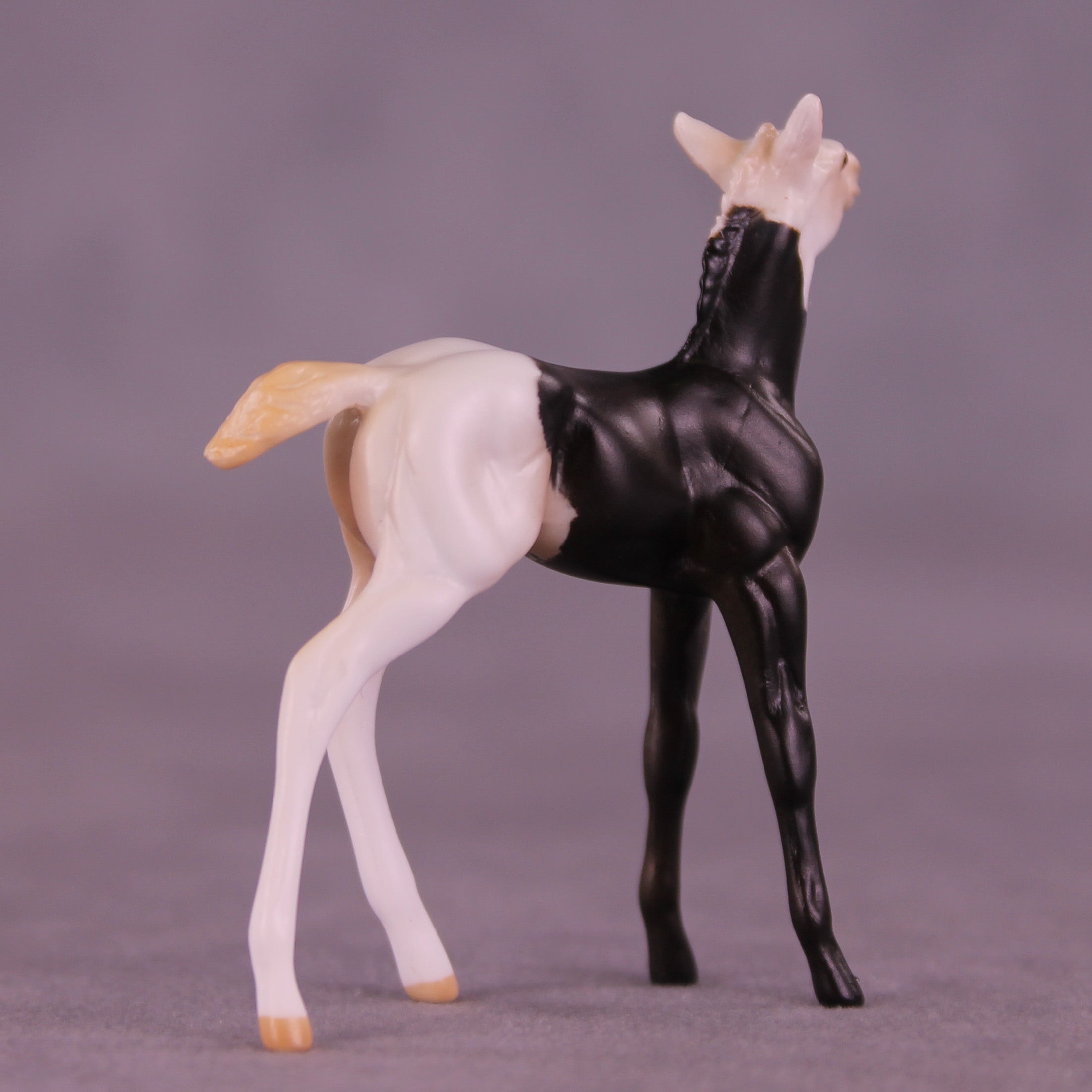 Mario OOAK Chip Foal by Anna Rieck HS25
