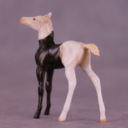 Mario OOAK Chip Foal by Anna Rieck HS25