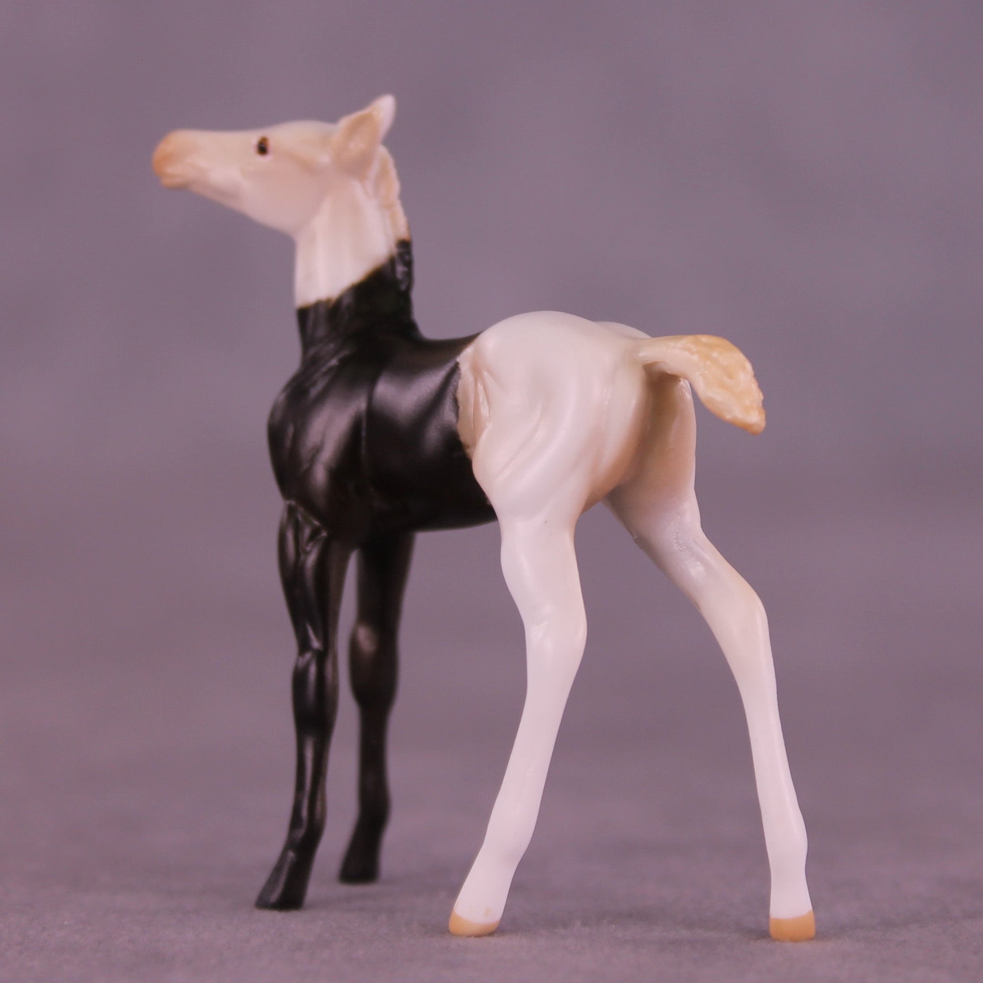 Mario OOAK Chip Foal by Anna Rieck HS25