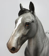 trotting drafter 