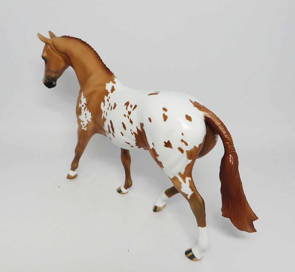 MESA VERDE~LE-3 CHESTNUT APPALOOSA  PONY EQ 2017