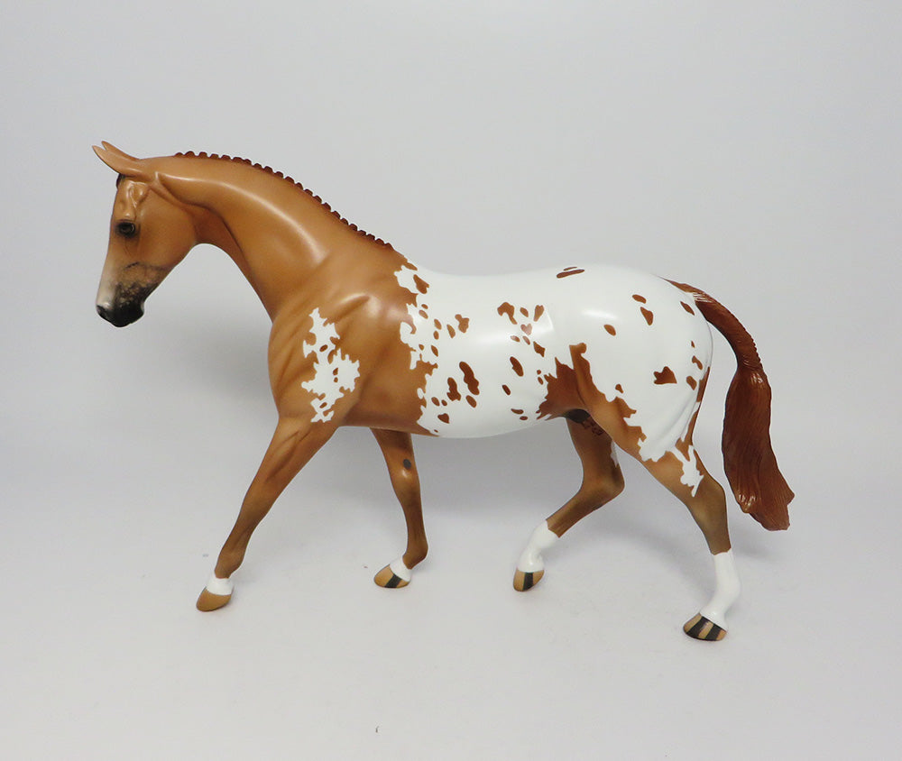 MESA VERDE~LE-3 CHESTNUT APPALOOSA  PONY EQ 2017