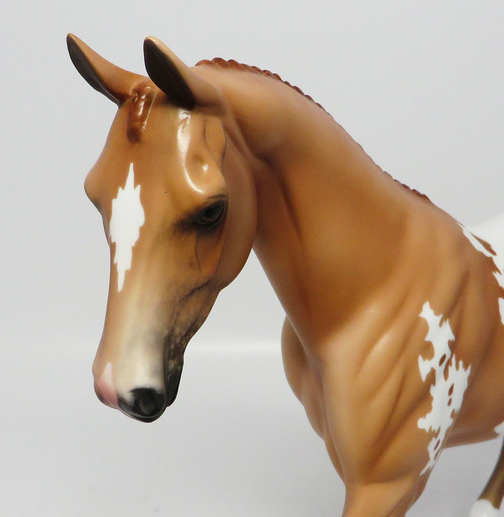 MESA VERDE~LE-3 CHESTNUT APPALOOSA  PONY EQ 2017