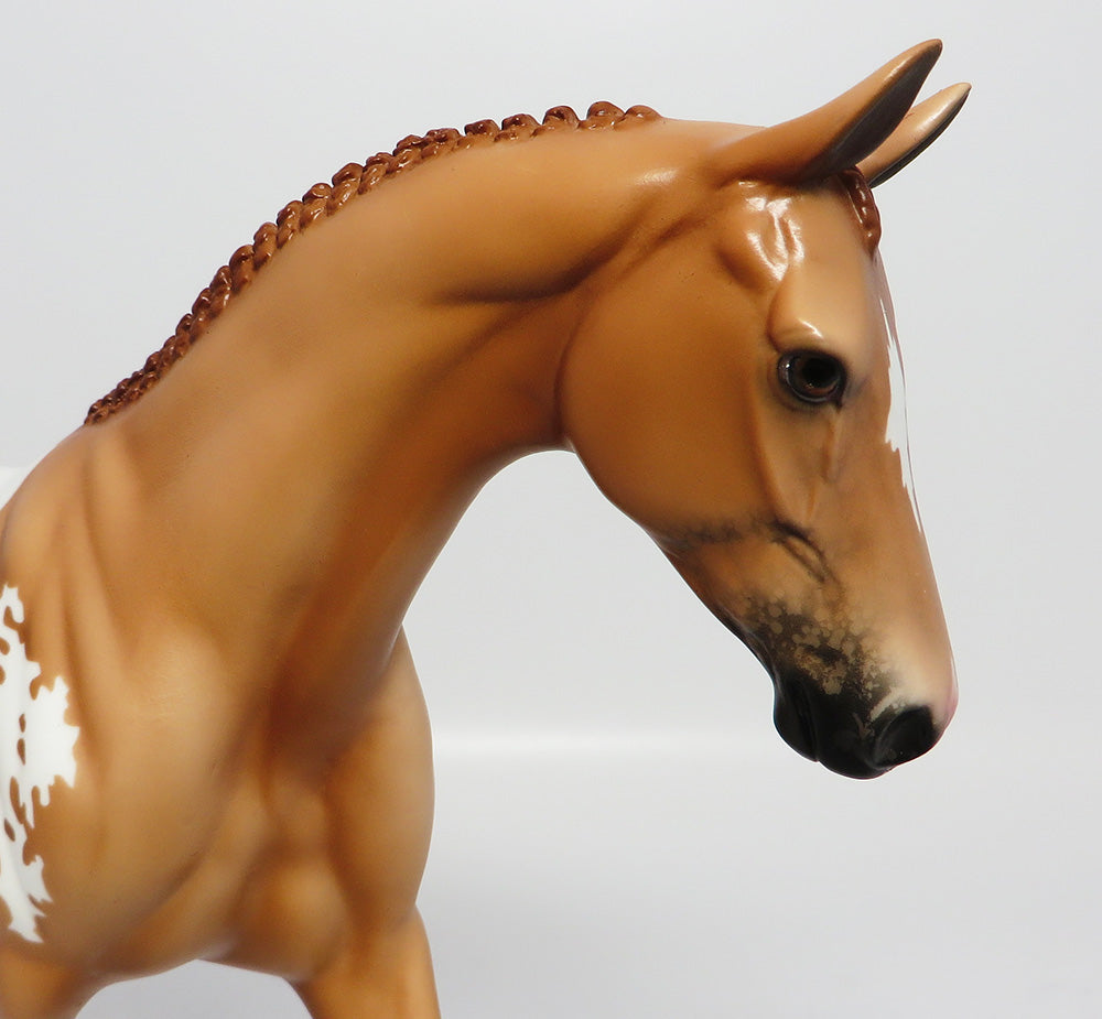 MESA VERDE~LE-3 CHESTNUT APPALOOSA  PONY EQ 2017