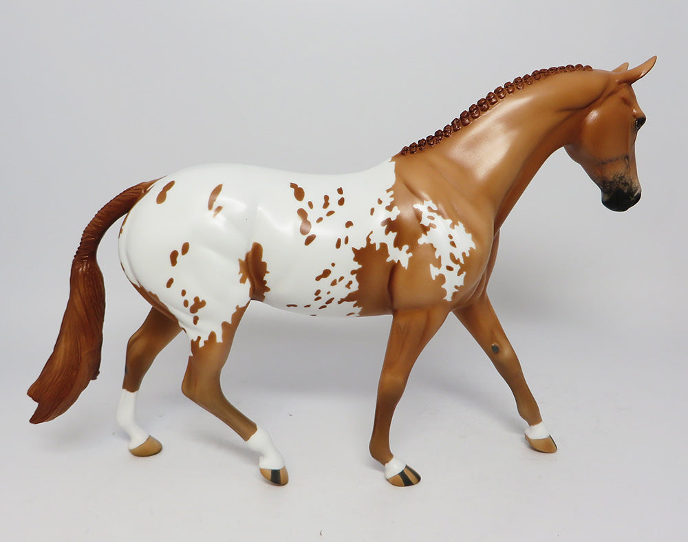 MESA VERDE~LE-3 CHESTNUT APPALOOSA  PONY EQ 2017