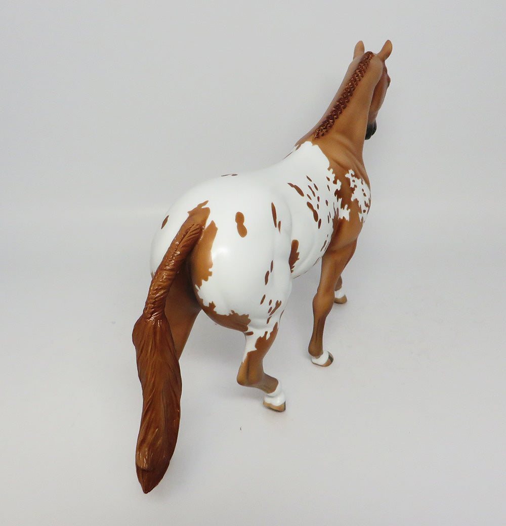 MESA VERDE~LE-3 CHESTNUT APPALOOSA  PONY EQ 2017