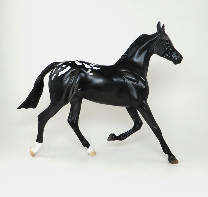 MIDDLE CHILD SYNDROME - OOAK BLACK BLANKET APPALOOSA TURNED EAR YEARLING -11/6