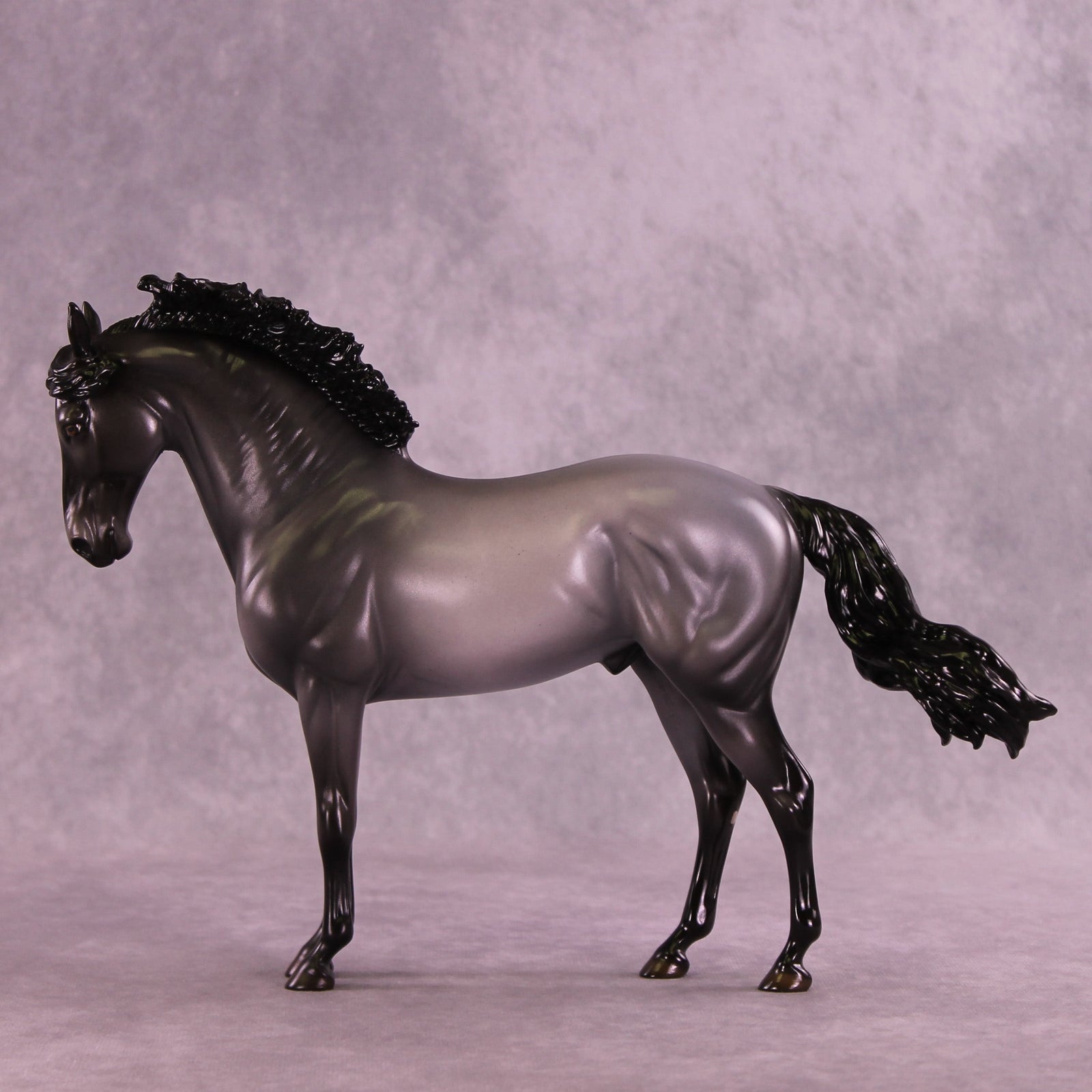 Midnight Clear OOAK FCM Andalusian by Ellen Robbins HS25