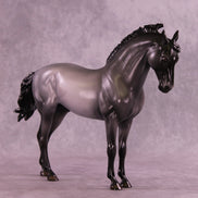 Midnight Clear OOAK FCM Andalusian by Ellen Robbins HS25