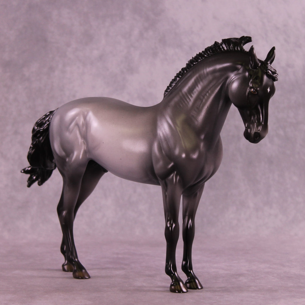 Midnight Clear OOAK FCM Andalusian by Ellen Robbins HS25