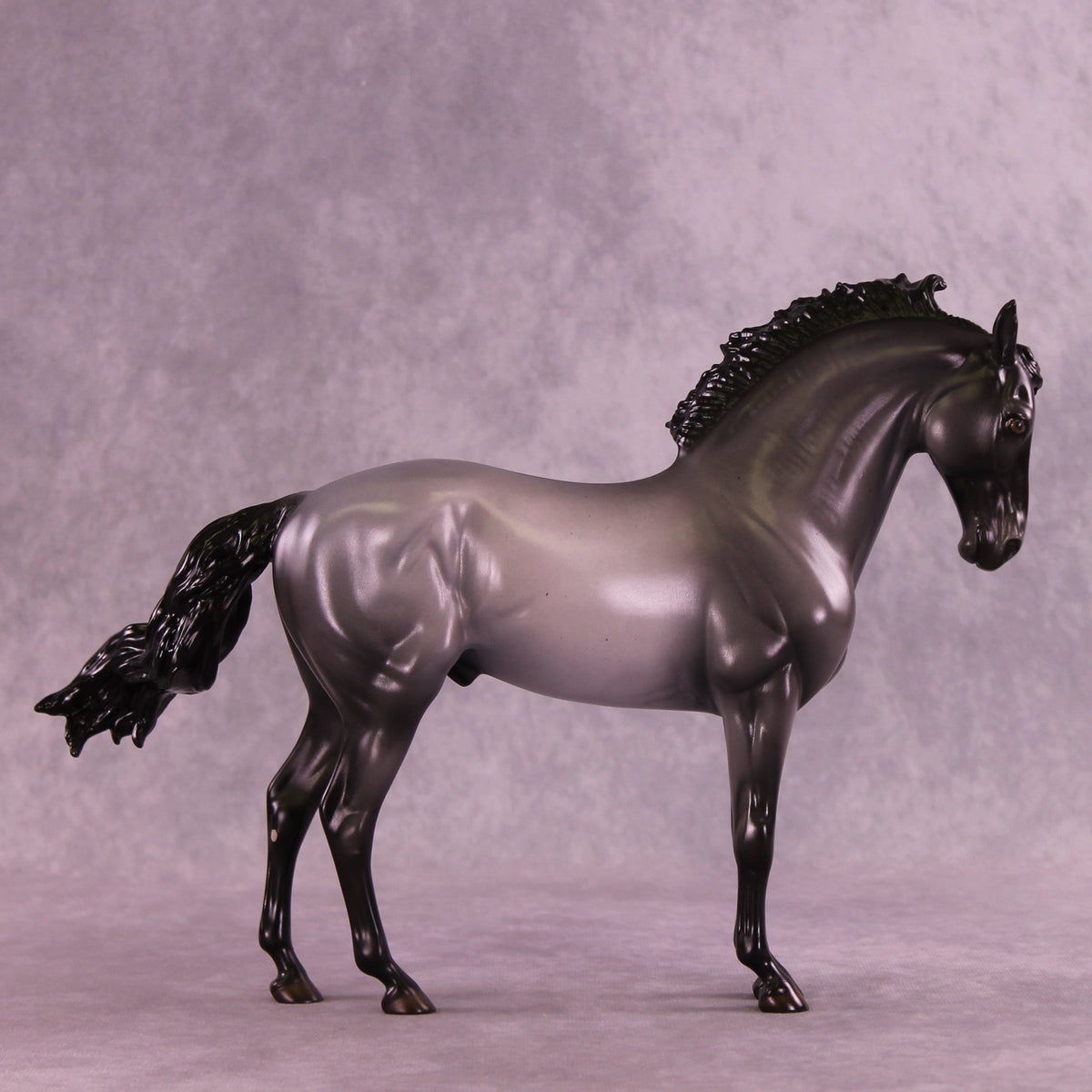Midnight Clear OOAK FCM Andalusian by Ellen Robbins HS25