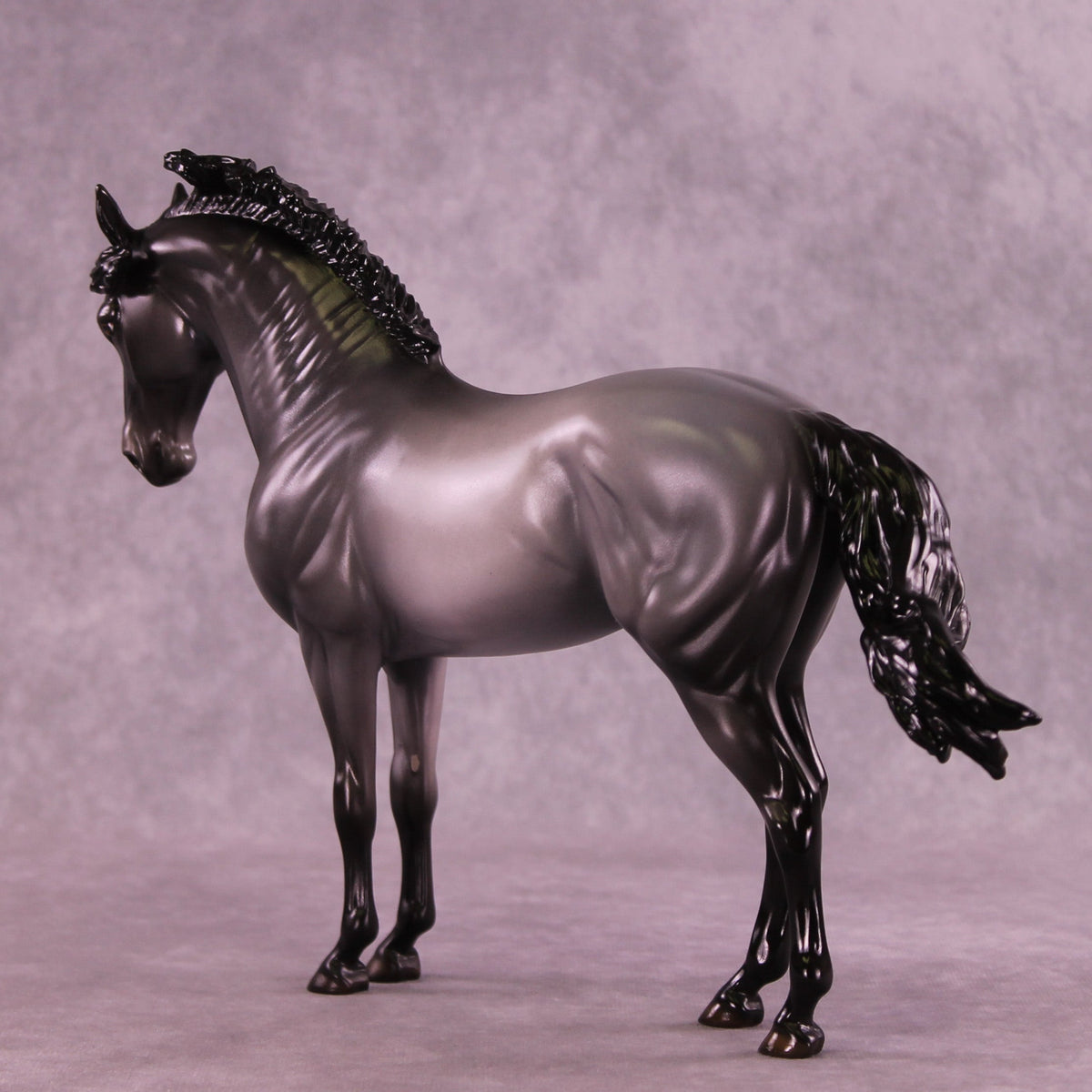 Midnight Clear OOAK FCM Andalusian by Ellen Robbins HS25