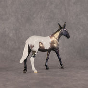 Mira OOAK Chip Mule by Jess Hamill SCD26