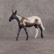 Mira OOAK Chip Mule by Jess Hamill SCD26
