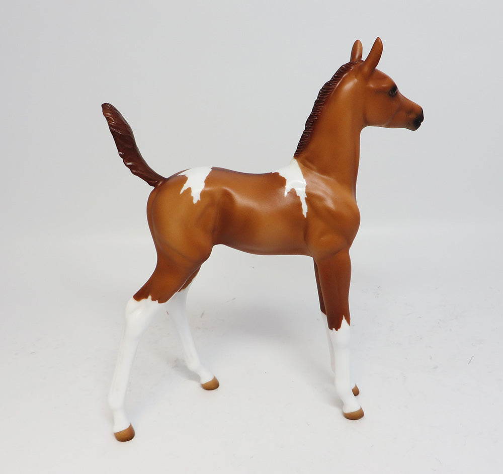 MISS BEHAVEN-LE.4 RED DUN PAINT ARABIAN FOAL MODEL HORSE 05/04/17