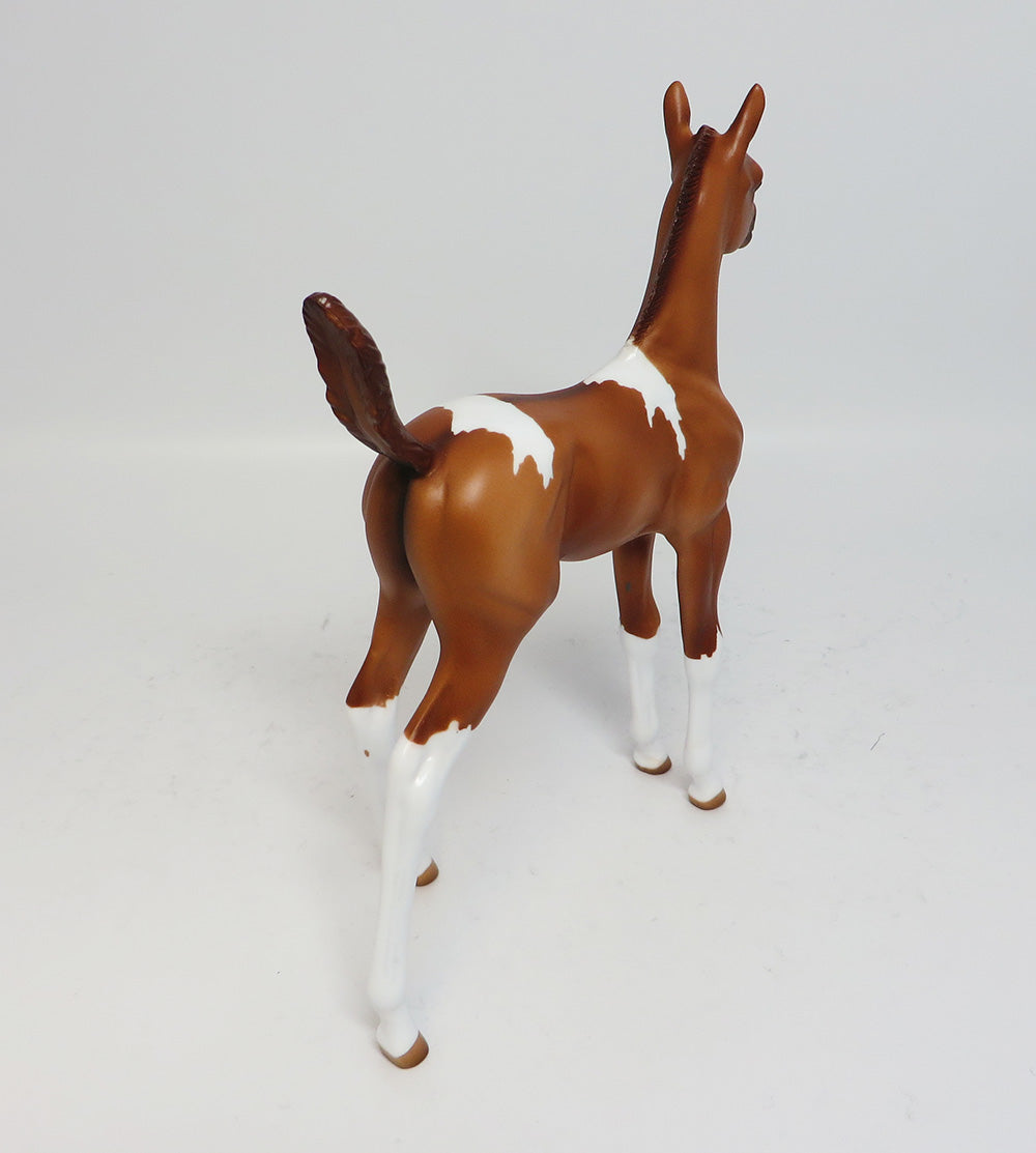 MISS BEHAVEN-LE.4 RED DUN PAINT ARABIAN FOAL MODEL HORSE 05/04/17
