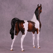 Mistletoe Mike OOAK Arabian Stallion by Julie Keim HS25